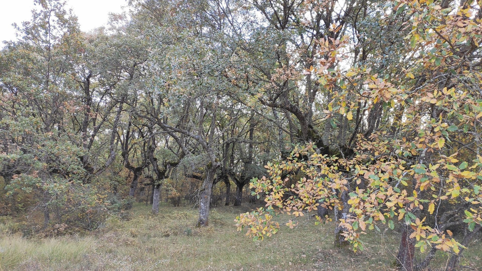 Ruta Sendero de los Andasusos