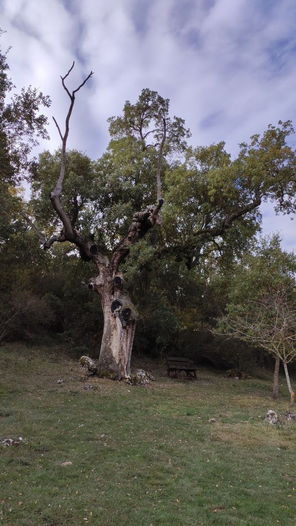 Ruta Sendero de los Andasusos